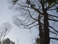 Tn 0211 DSC 5516